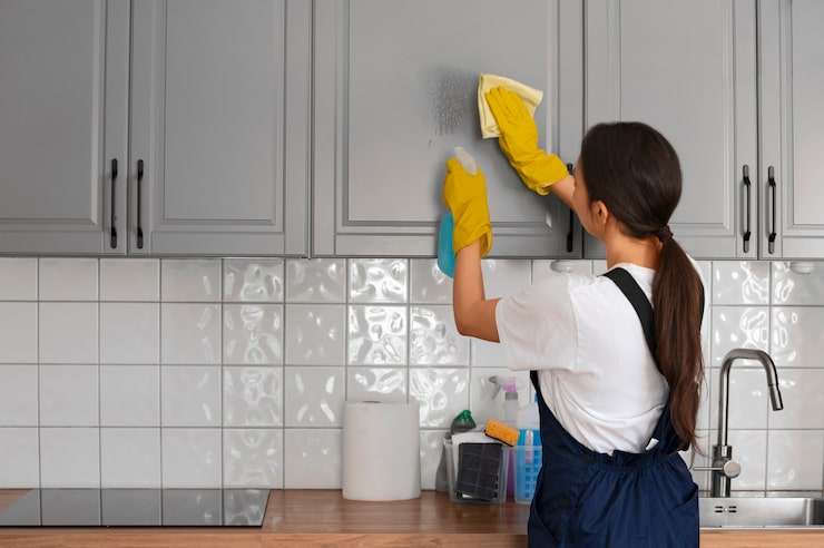 Alpine Cleaning Services