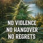 Mitchell Wesso Wesso