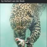 Ororiseng Walter Walter