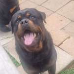 Victor Mojalefa Mafisa