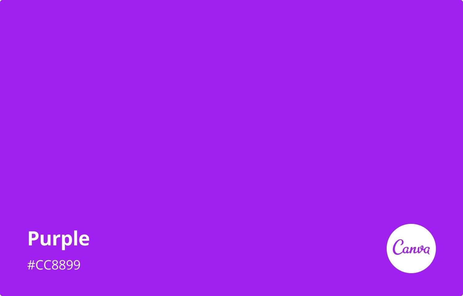 Horse10